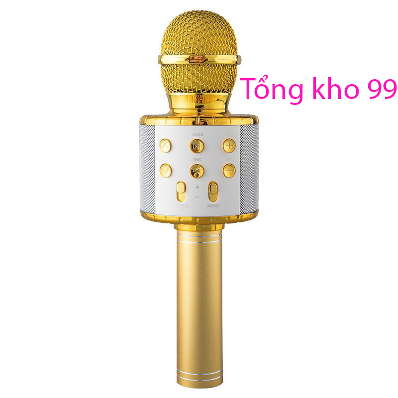 Mic Karaoke Ws-858, Micro Bluetooth Không Dây Kèm Loa, Vừa Nghe Nhạc Vừa Hát Karaoke-khosi11vd6
