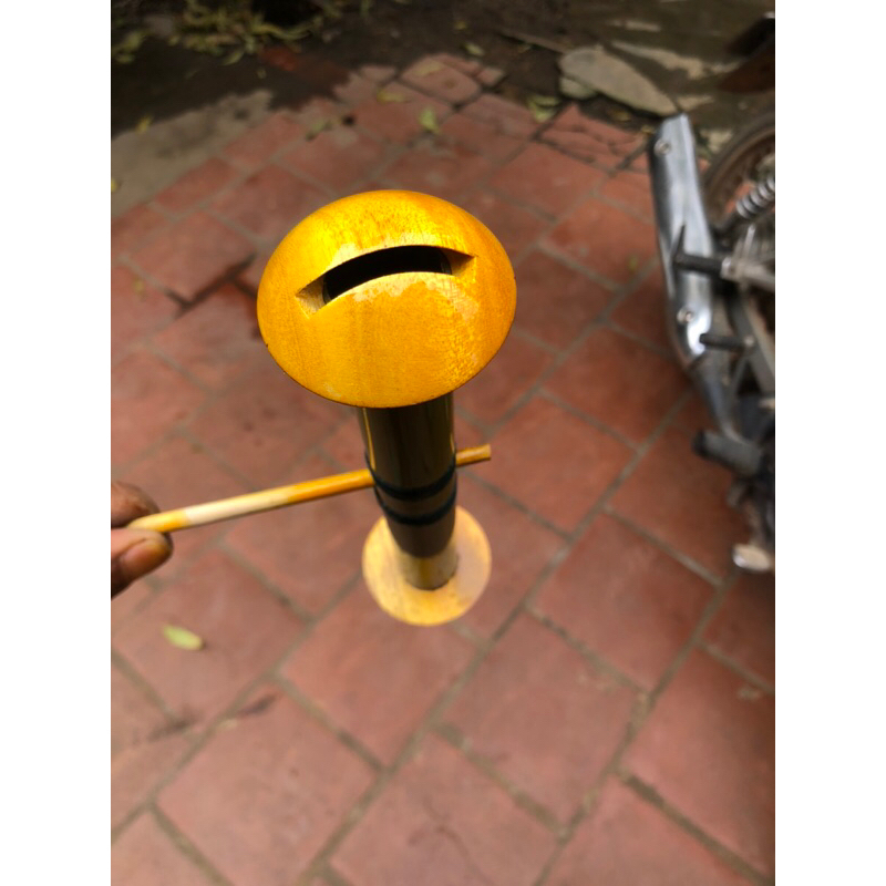 Sáo đơn Đ20