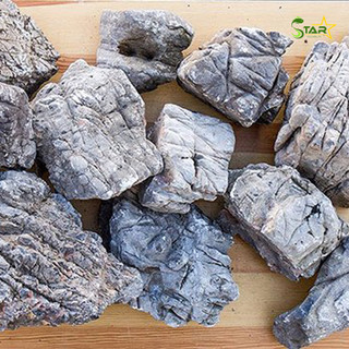 Đá da voi màu xám tạo cảnh núi hồ thuỷ sinh