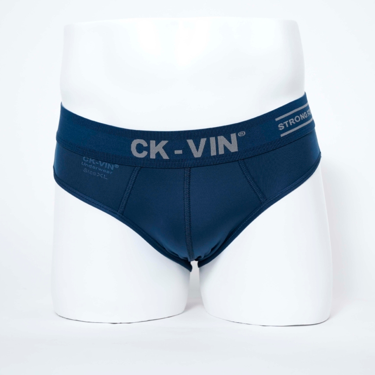 ComBo 5 quần lót nam thun lạnh tam giác - quần sịp nam lưng bản to CK_VIN QL052