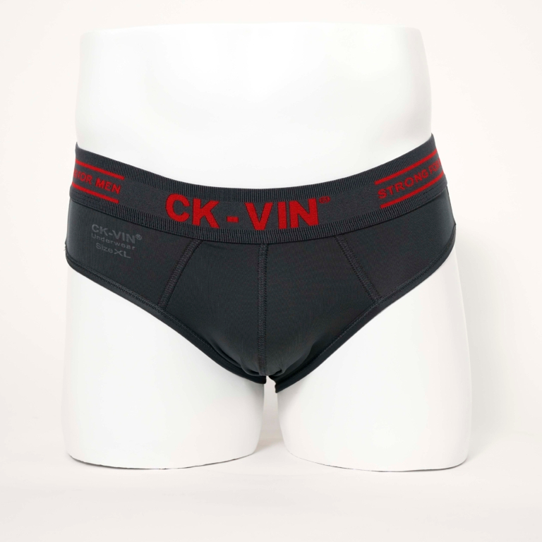 ComBo 5 quần lót nam thun lạnh tam giác - quần sịp nam lưng bản to CK_VIN QL052