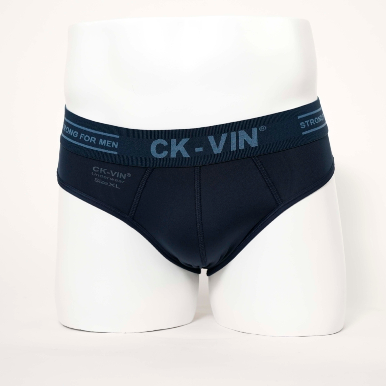 ComBo 5 quần lót nam thun lạnh tam giác - quần sịp nam lưng bản to CK_VIN QL052