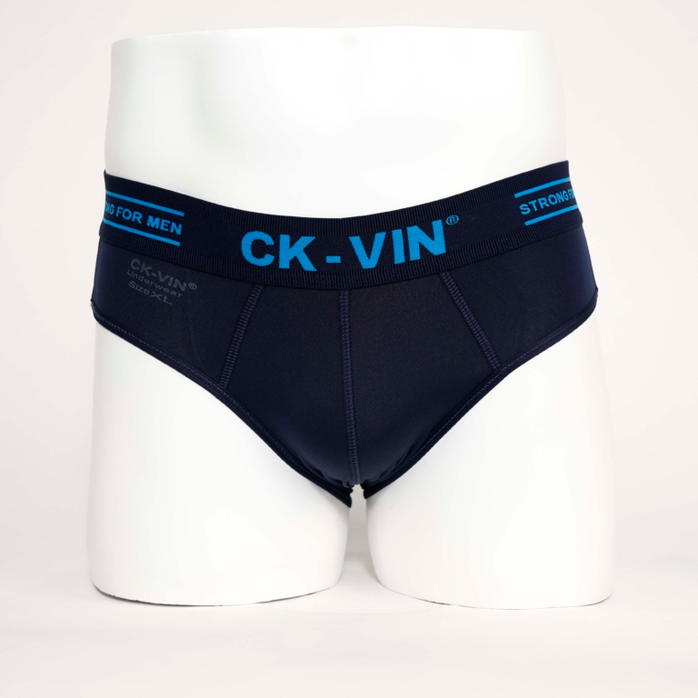 ComBo 5 quần lót nam thun lạnh tam giác - quần sịp nam lưng bản to CK_VIN QL052