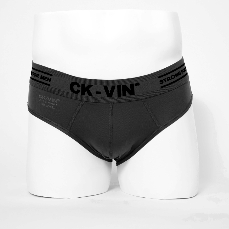 ComBo 5 quần lót nam thun lạnh tam giác - quần sịp nam lưng bản to CK_VIN QL052