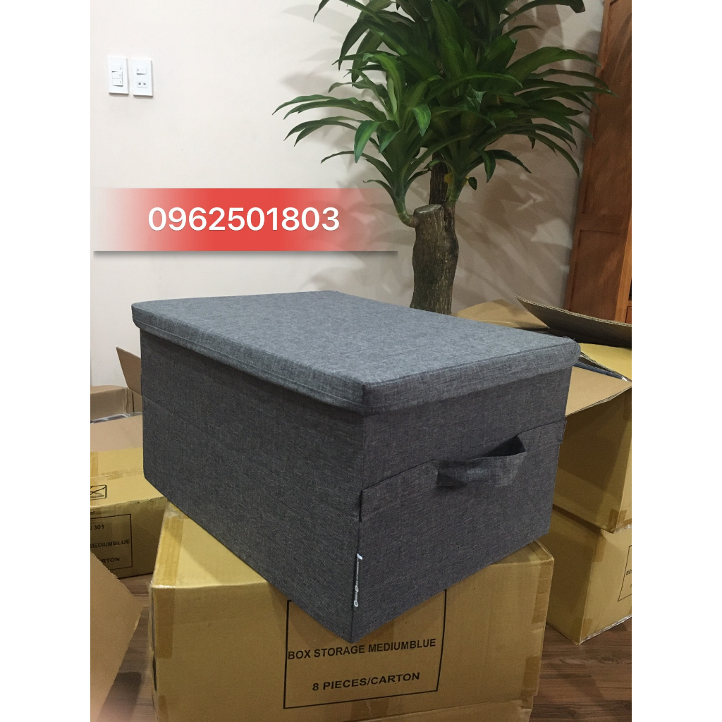 Hộp Đựng Đồ Tiện Gọn Size Lớn [Storage Box]