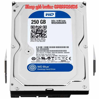 Ổ cứng HDD 250GB Western Purple cho camera bảo hành 12 tháng