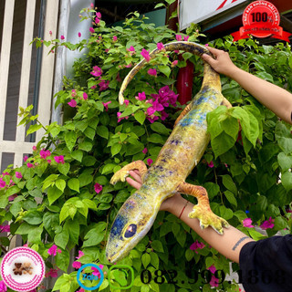 Gấu Bông Con Thằn Lằn 3D 1M2 Siêu Cưng