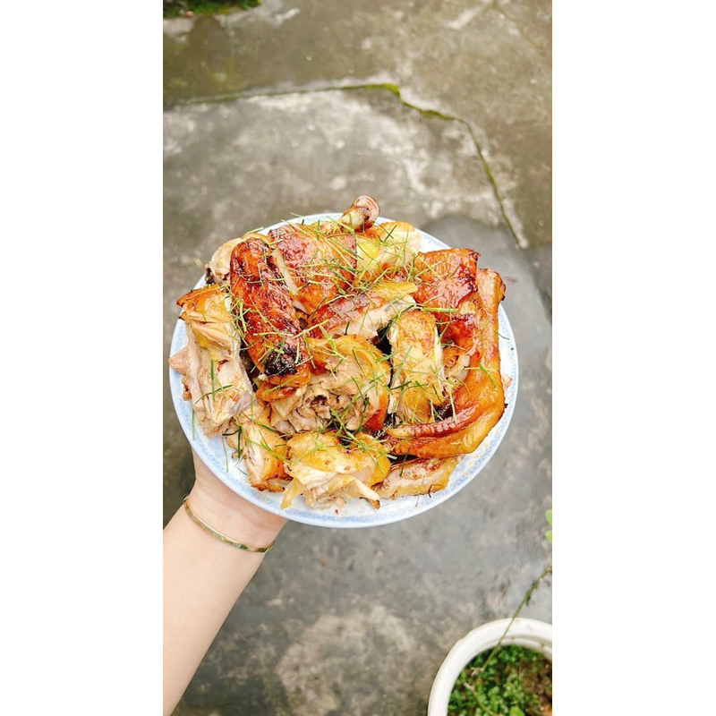 Nồi chiên không dầu Venko 10.5l nướng 2 còn gà thoải mái - Bh 12 tháng