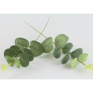 Nhánh táo trang trí giỏ hoa. bó hoa