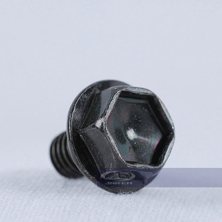 Ốc cạch te (Apido) - RGV120-0708