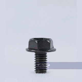 Ốc cạch te (Apido) - RGV120-0708