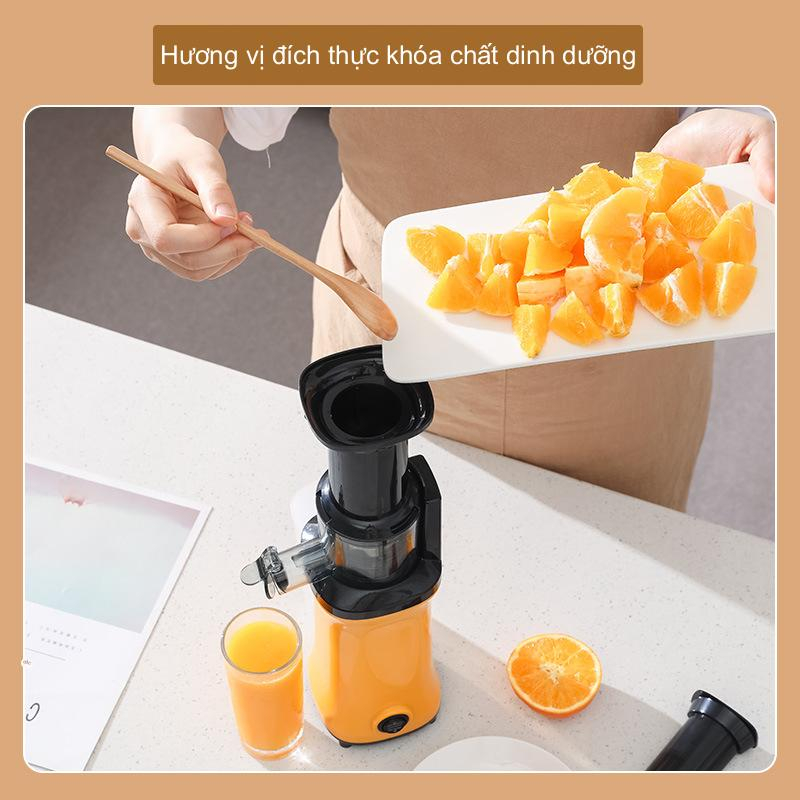 Máy Ép Chậm Hoa Quả Mini, Máy Ép Rau Củ Cho Gia Đình Tiện Dụng Cao Cấp Siêu Bền Ép Nguyên Chất 97%