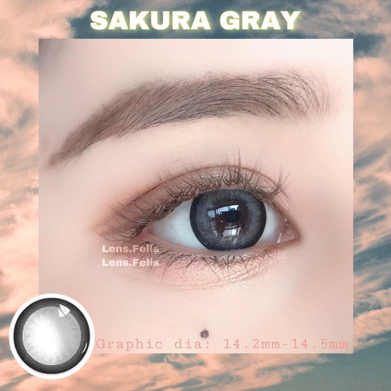 LENS SAKURA XÁM  GIÃN TO