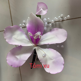 Hoa ban cài tóc