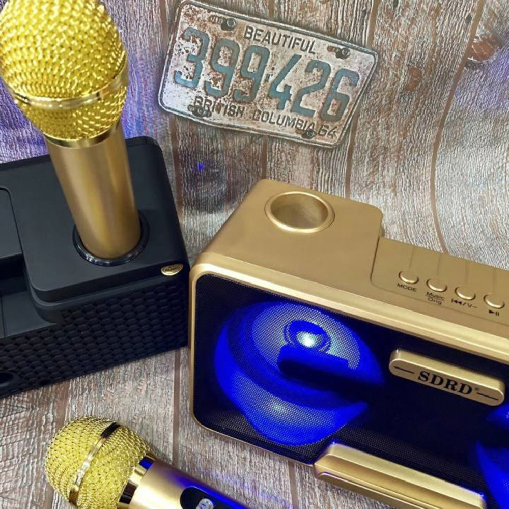 Tặng Kèm 2 Micro Không Dây, Loa Karaoke Bluetooth SD301, Âm Thanh Vang Vòm Sống Động, Hát Karaoke Cực Hay