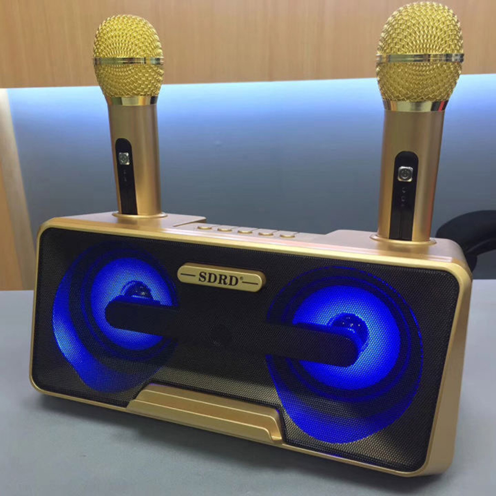 Tặng Kèm 2 Micro Không Dây, Loa Karaoke Bluetooth SD301, Âm Thanh Vang Vòm Sống Động, Hát Karaoke Cực Hay