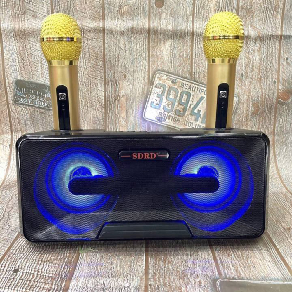 Tặng Kèm 2 Micro Không Dây, Loa Karaoke Bluetooth SD301, Âm Thanh Vang Vòm Sống Động, Hát Karaoke Cực Hay