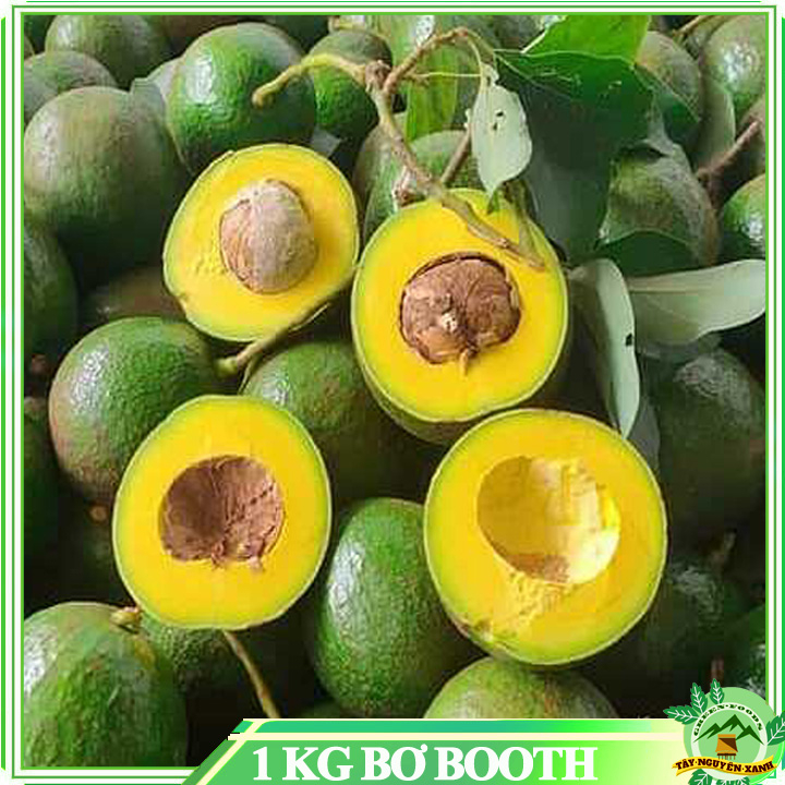 1KG BƠ BOOTH GIA LAI DẺO NGON NHÀ TRỒNG