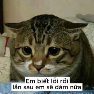 Nhiệt ẩm kế