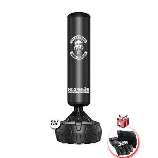 Bao Cát Đứng Cao Cấp - Trụ Đấm Bốc FighterViet