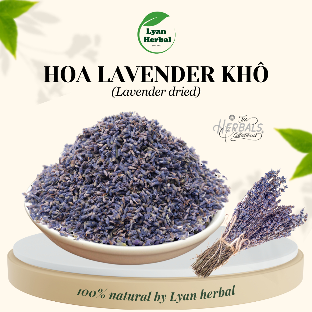 hoa lavender khô, hoa oải hương khô thơm làm túi thơm lavender khử mùi đuổi muỗi, trà lavender dể chịu ngủ ngon