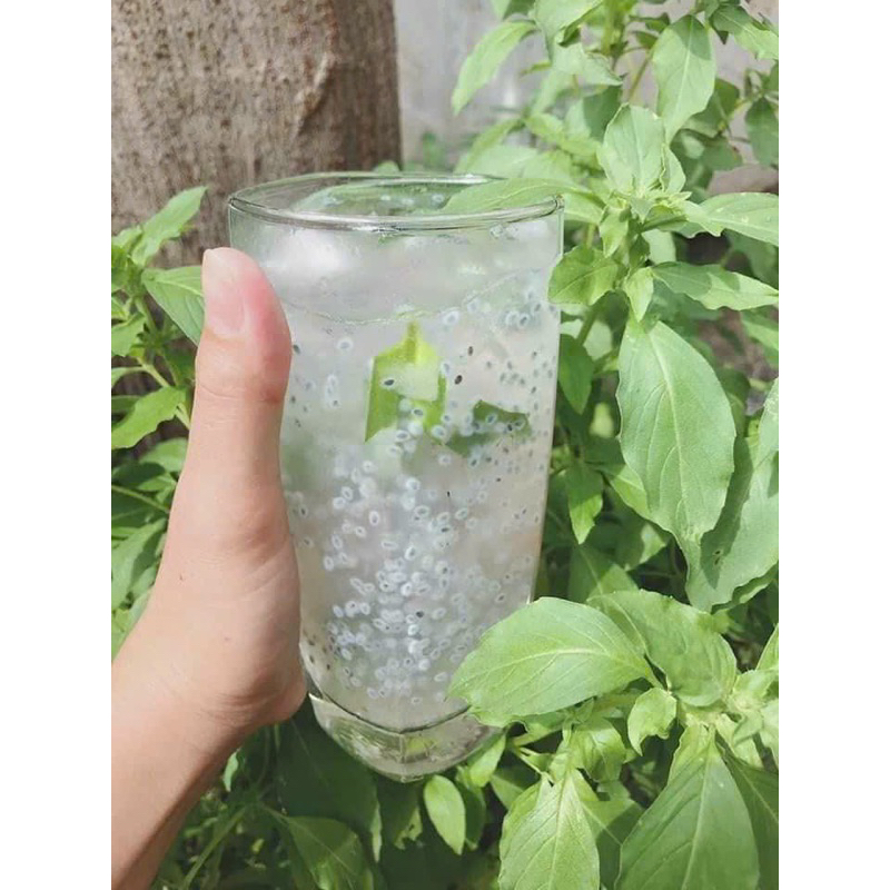 Hạt é Phan Rang Ninh Thuận phơi tại rẫy loại ngon 100g-500g