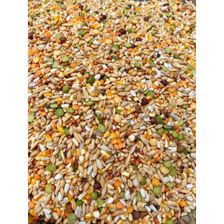 Ngũ cốc chiến kê dành cho gà đá, loại 1kg.