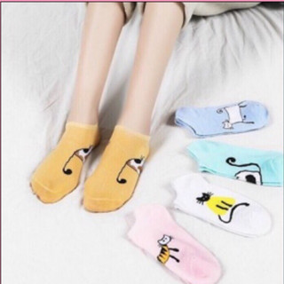 🎀Sét 5 đôi/10 đôi tất mèo baby Quảng Châu