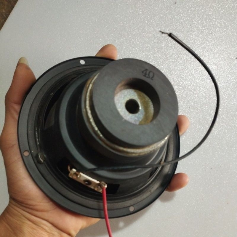 Loa trầm tháo loa vi tinh