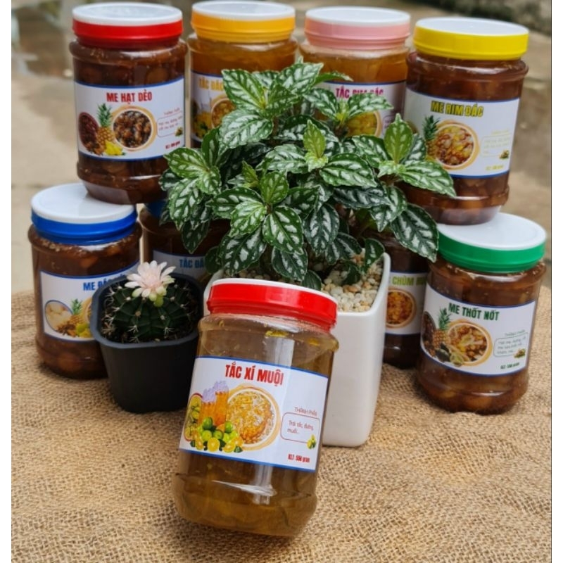 Tắc xí muội hộp 550g chất đậm đặc uống thanh mát