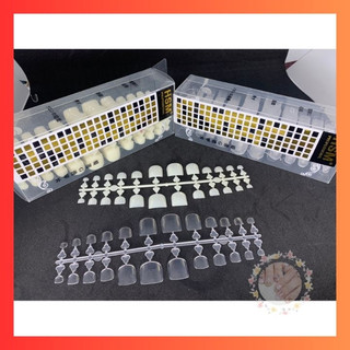 Móng úp chân hsm móng úp chuẩn form 504 móng chính hãng