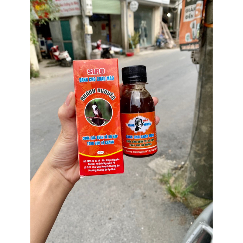 Th uốc ho cho chào mào