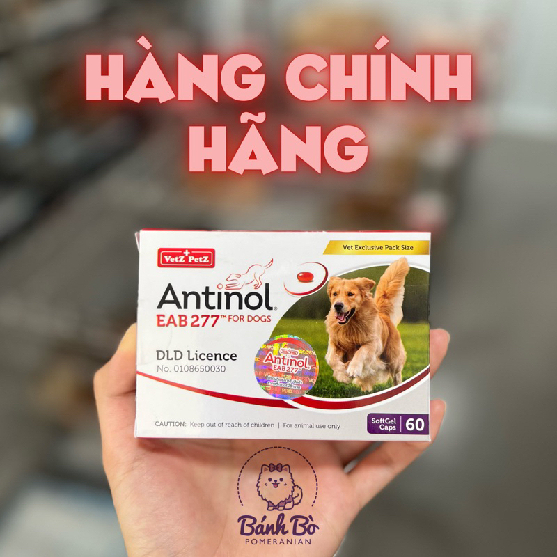 SIÊU KÍCH MỌC LÔNG, SIÊU DƯỠNG LÔNG CHO CHÓ ANTINOL  THAILAND GIÁ TỐT NHẤT