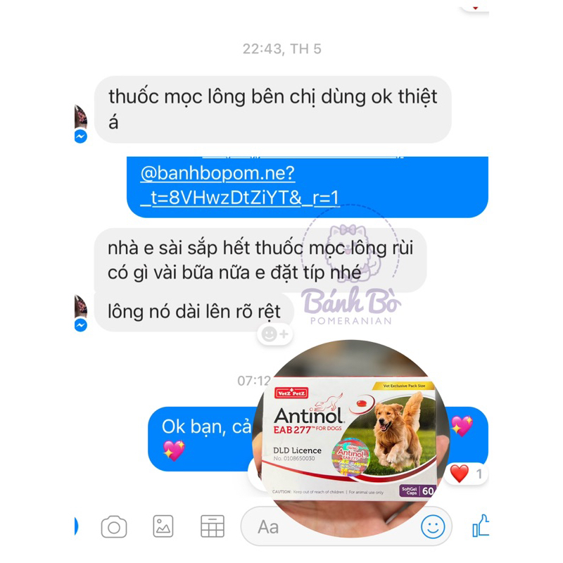 SIÊU KÍCH MỌC LÔNG, SIÊU DƯỠNG LÔNG CHO CHÓ ANTINOL  THAILAND GIÁ TỐT NHẤT