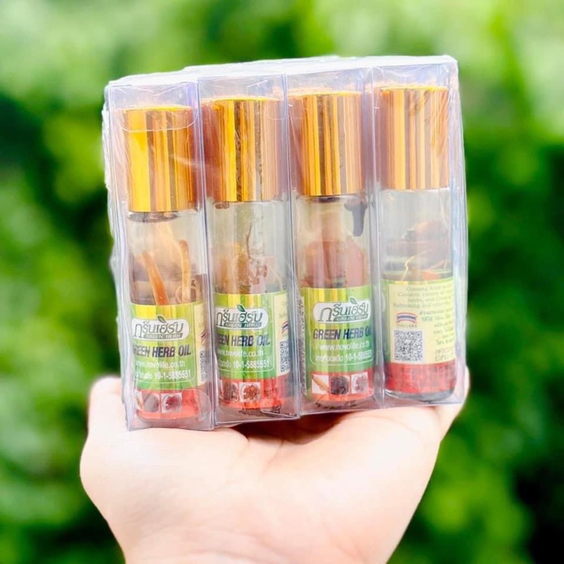 Lốc 12 Chai Dầu Gió Nhân Sâm Green Herb Oil Thái Lan Nội Địa Thái