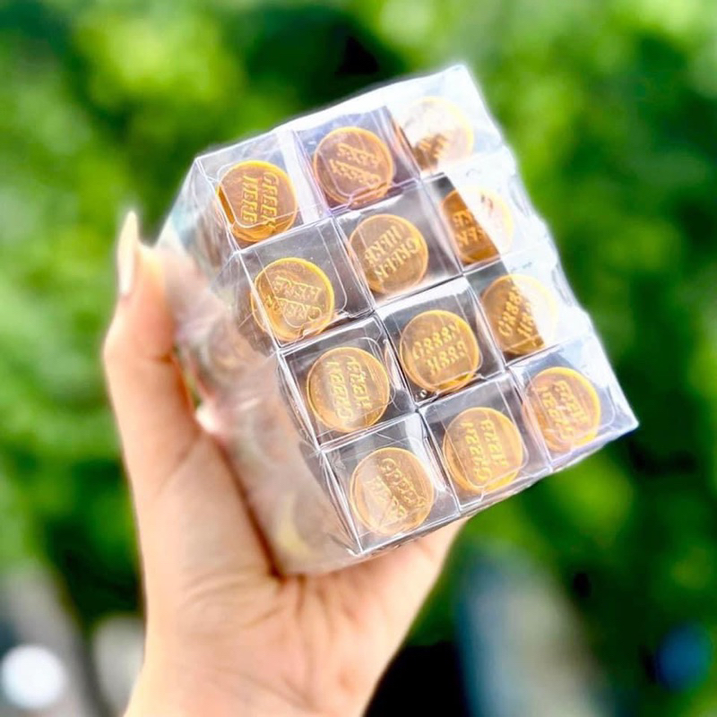 Lốc 12 Chai Dầu Gió Nhân Sâm Green Herb Oil Thái Lan Nội Địa Thái