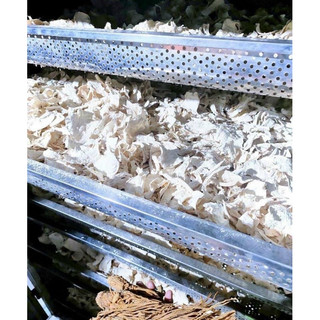 Sâm tố nữ 500g