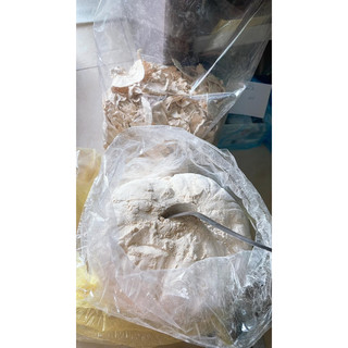 Sâm tố nữ 500g
