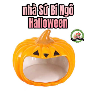 Nhà ngủ sứ Bí Ngô halloween cho hamster. Nhà sứ hamster