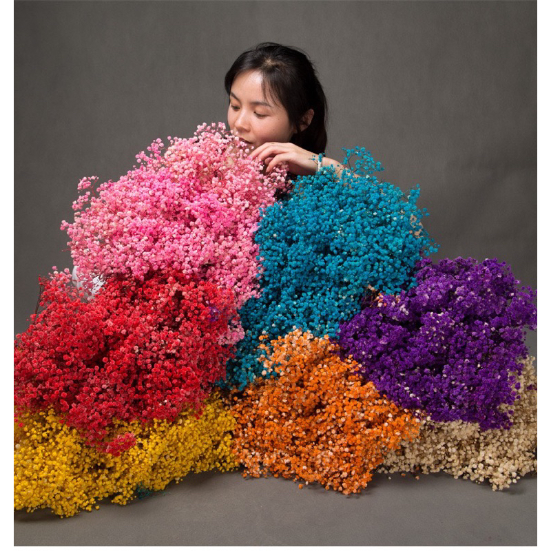 Bó Hoa Baby Khô Bó Lớn Hoa Đẹp - Tặng Sinh Nhật, Các Dịp Lễ, Decor