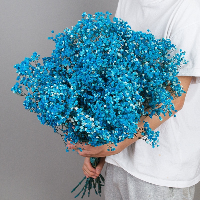 Bó Hoa Baby Khô Bó Lớn Hoa Đẹp - Tặng Sinh Nhật, Các Dịp Lễ, Decor