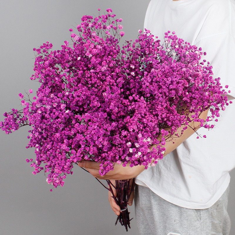 Bó Hoa Baby Khô Bó Lớn Hoa Đẹp - Tặng Sinh Nhật, Các Dịp Lễ, Decor