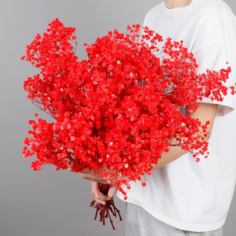 Bó Hoa Baby Khô Bó Lớn Hoa Đẹp - Tặng Sinh Nhật, Các Dịp Lễ, Decor