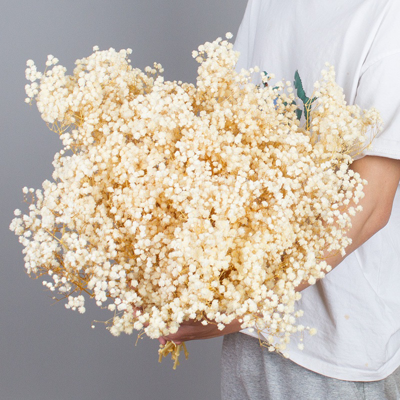 Bó Hoa Baby Khô Bó Lớn Hoa Đẹp - Tặng Sinh Nhật, Các Dịp Lễ, Decor
