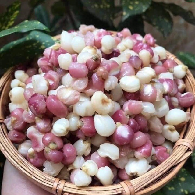 NGÔ NẾP BUNG ĐIỆN BIÊN - LOẠI HẠT NHỎ DẺO NGỌT - ĐÓNG GÓI HÚT CHÂN KHÔNG SẠCH SẼ