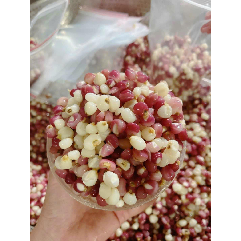 NGÔ NẾP BUNG ĐIỆN BIÊN - LOẠI HẠT NHỎ DẺO NGỌT - ĐÓNG GÓI HÚT CHÂN KHÔNG SẠCH SẼ