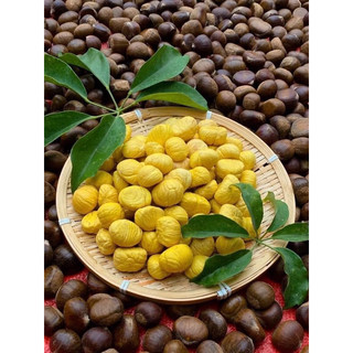 hạt dẻ sống 1kí