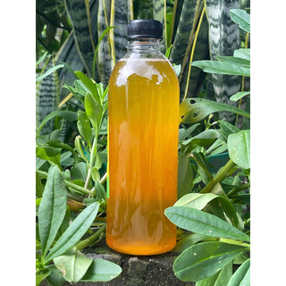 Mật Ong Nguyên Chất Rừng Tây Bắc Chai 500ML