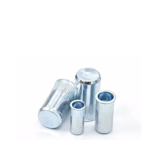 Set 10 cái ốc tán rút mù M10x24.5 thép mạ