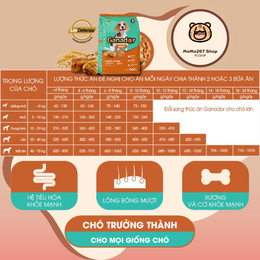 400g - Thức ăn cho chó trưởng thành GANADOR vị gà nướng CHICKEN
